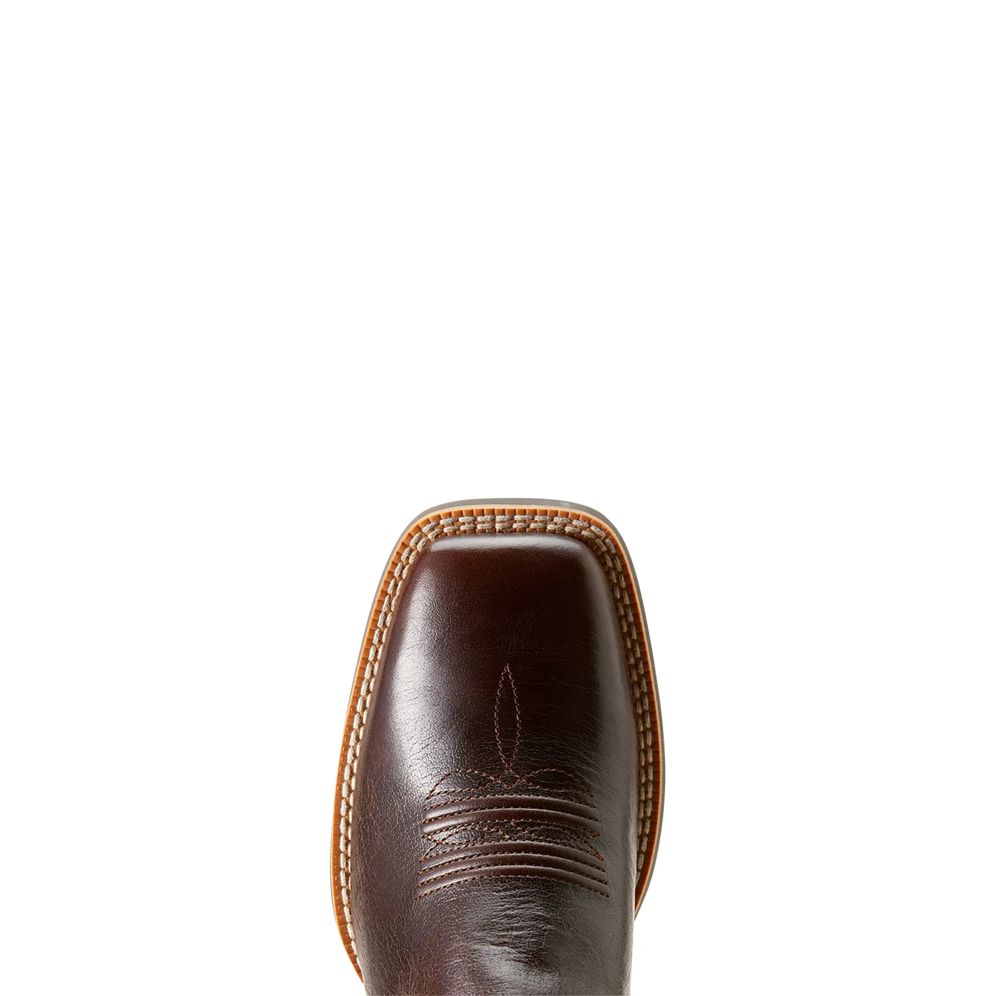 10053606 Ariat Women's Gillette Arizona Brown/Marble Brown C Width