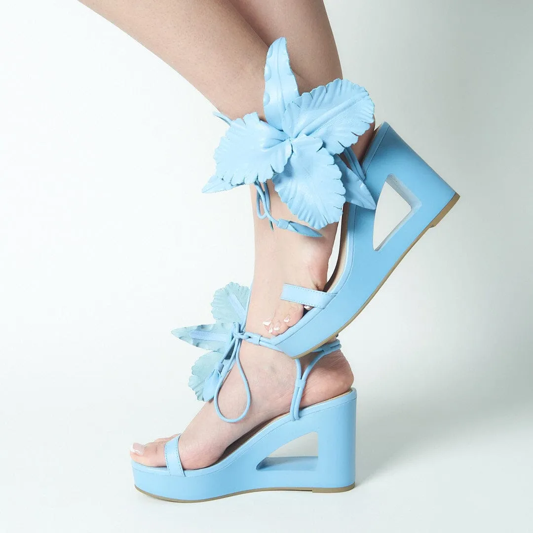 LILLY CUT OUT
