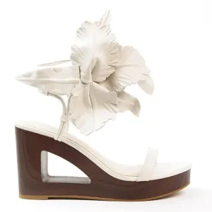 LILLY CUT OUT
