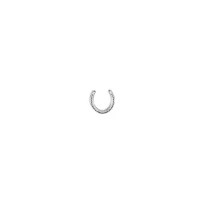 TKSTCROIX2DEGREE-6 Horseshoes 2 Degree Hind Race Plates St Croix