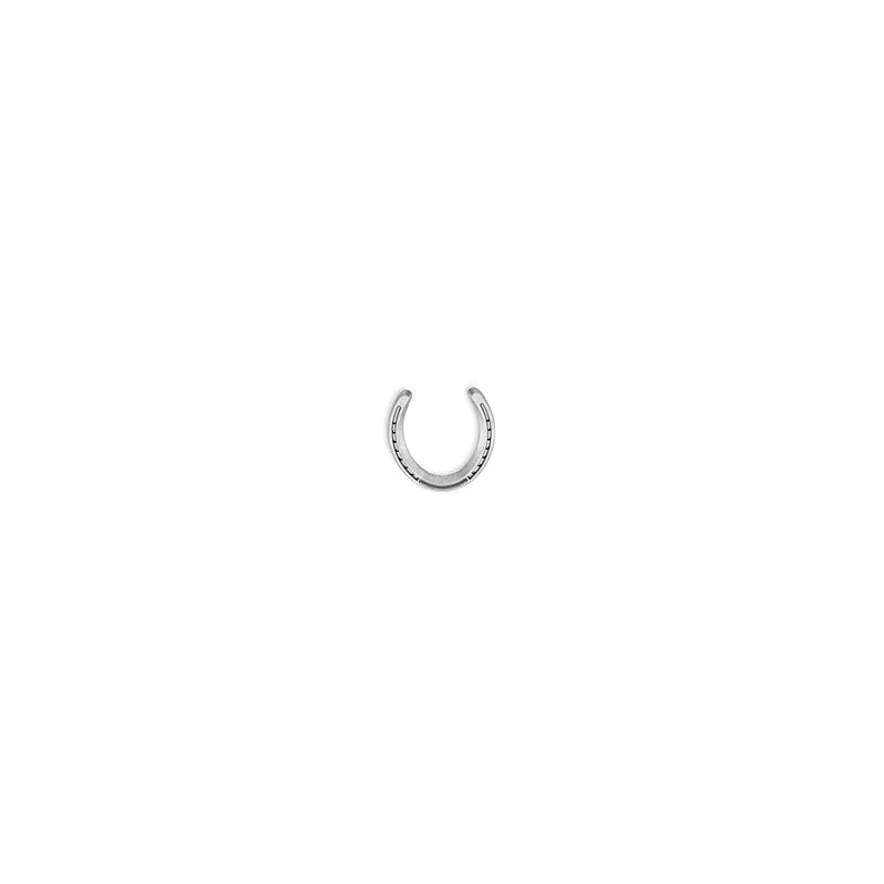 TKSTCROIX2DEGREE-6 Horseshoes 2 Degree Hind Race Plates St Croix