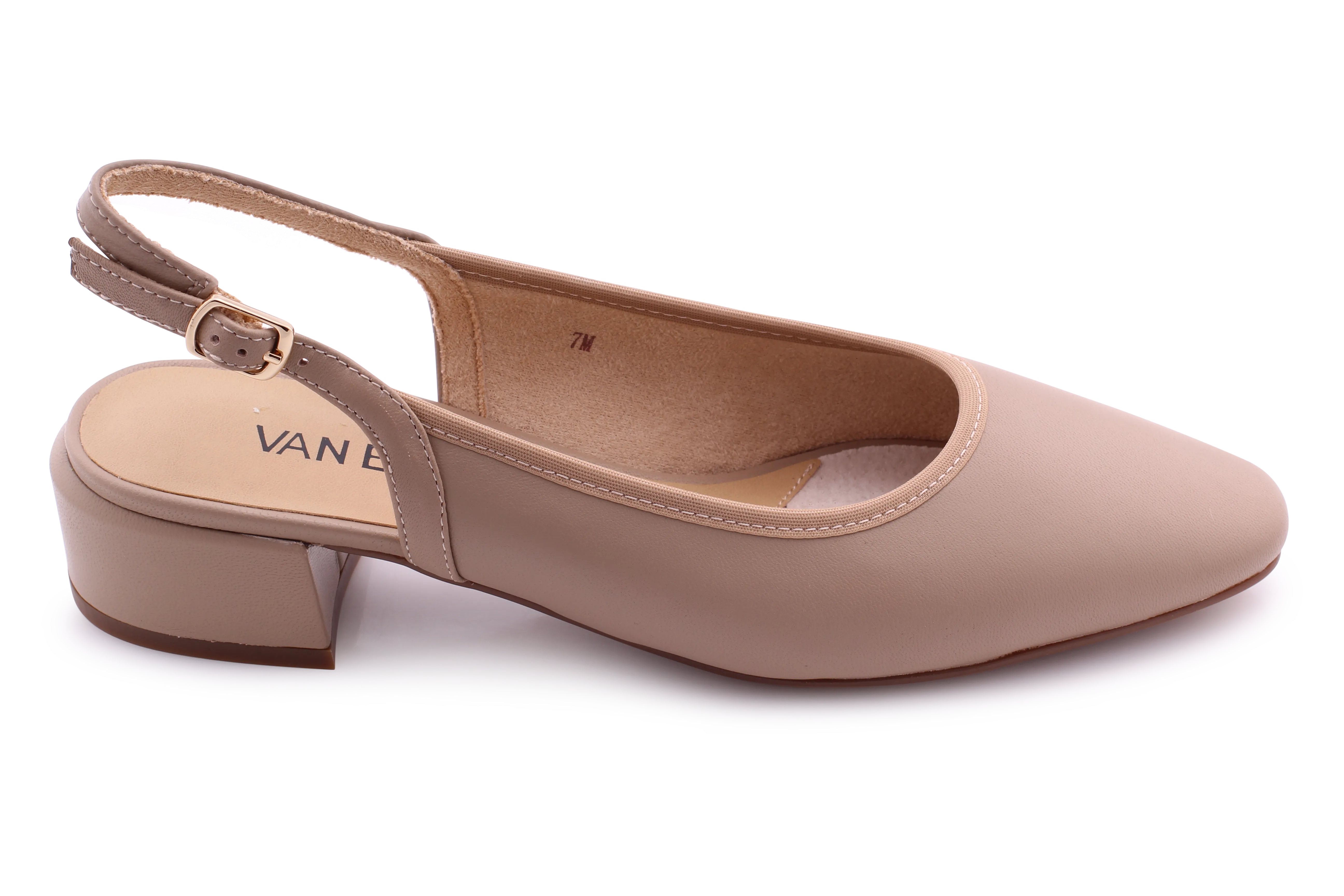 Vaneli Amory S